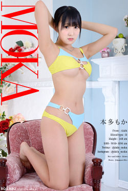本多もか 私服3＋ビキニ水着 DVD-ROM