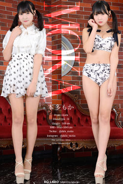 本多もか 私服4＋ビキニ水着 DVD-ROM