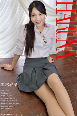 黒木春菜 OL制服2 DVD-ROM