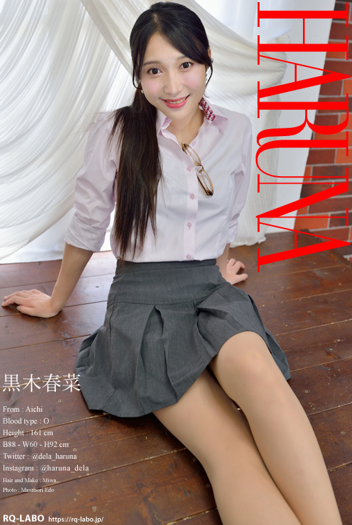 黒木春菜 OL制服2 DVD-ROM