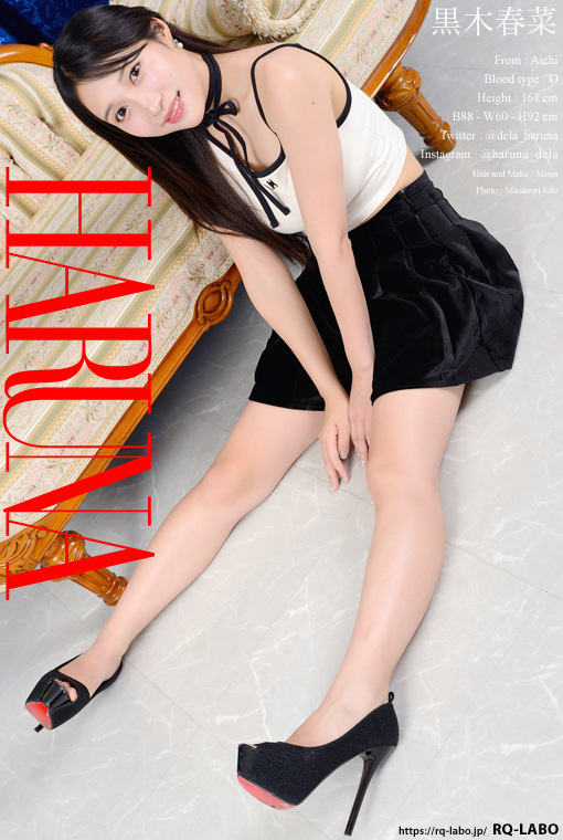 黒木春菜 私服1 DVD-ROM