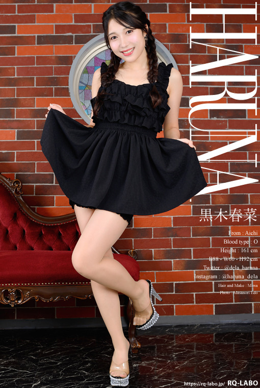黒木春菜 私服3 DVD-ROM