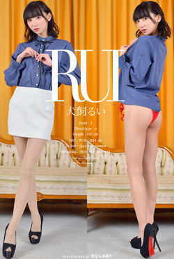 犬飼るい OL制服1＋ビキニ水着 DVD-ROM