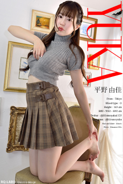 平野由佳 私服1＋ビキニ水着 DVD-ROM