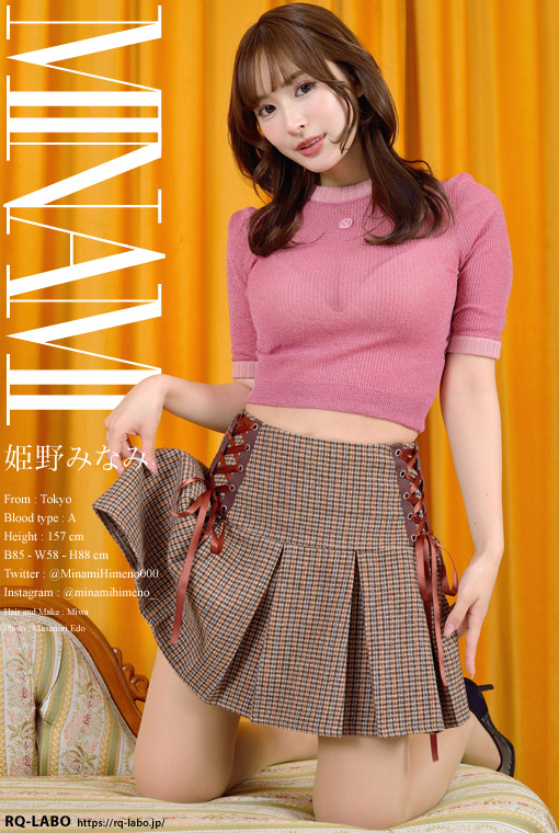 姫野みなみ 2025年度版私服1＋水着 DVD-ROM