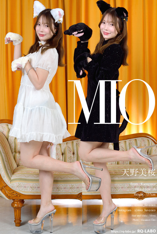 天野美桜 私服（黒ネコ＋白ネコ） DVD-ROM