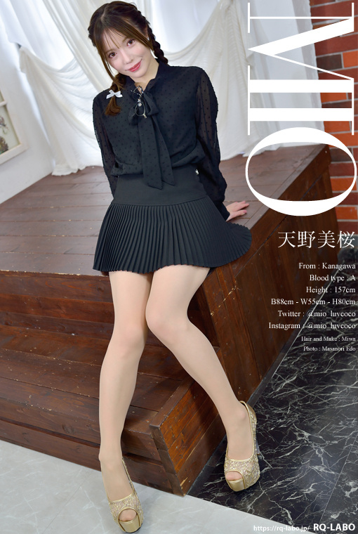 天野美桜 私服2＋OL制服 DVD-ROM