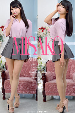 夏目みさこ OL制服＋ランジェリー DVD-ROM