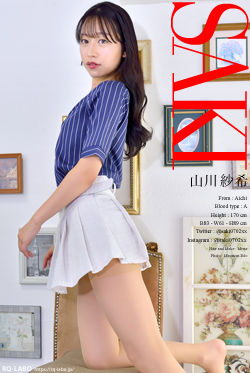 山川紗希 OL制服1 DVD-ROM