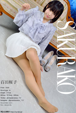 百田桜子 私服3＋ビキニ水着 DVD-ROM