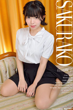 百田桜子 OL制服1 DVD-ROM